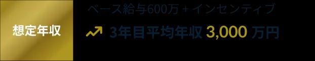想定年収例-1