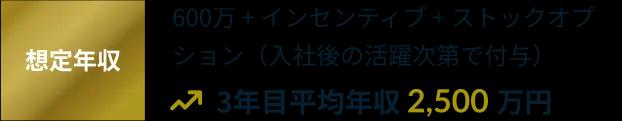 想定年収例-3