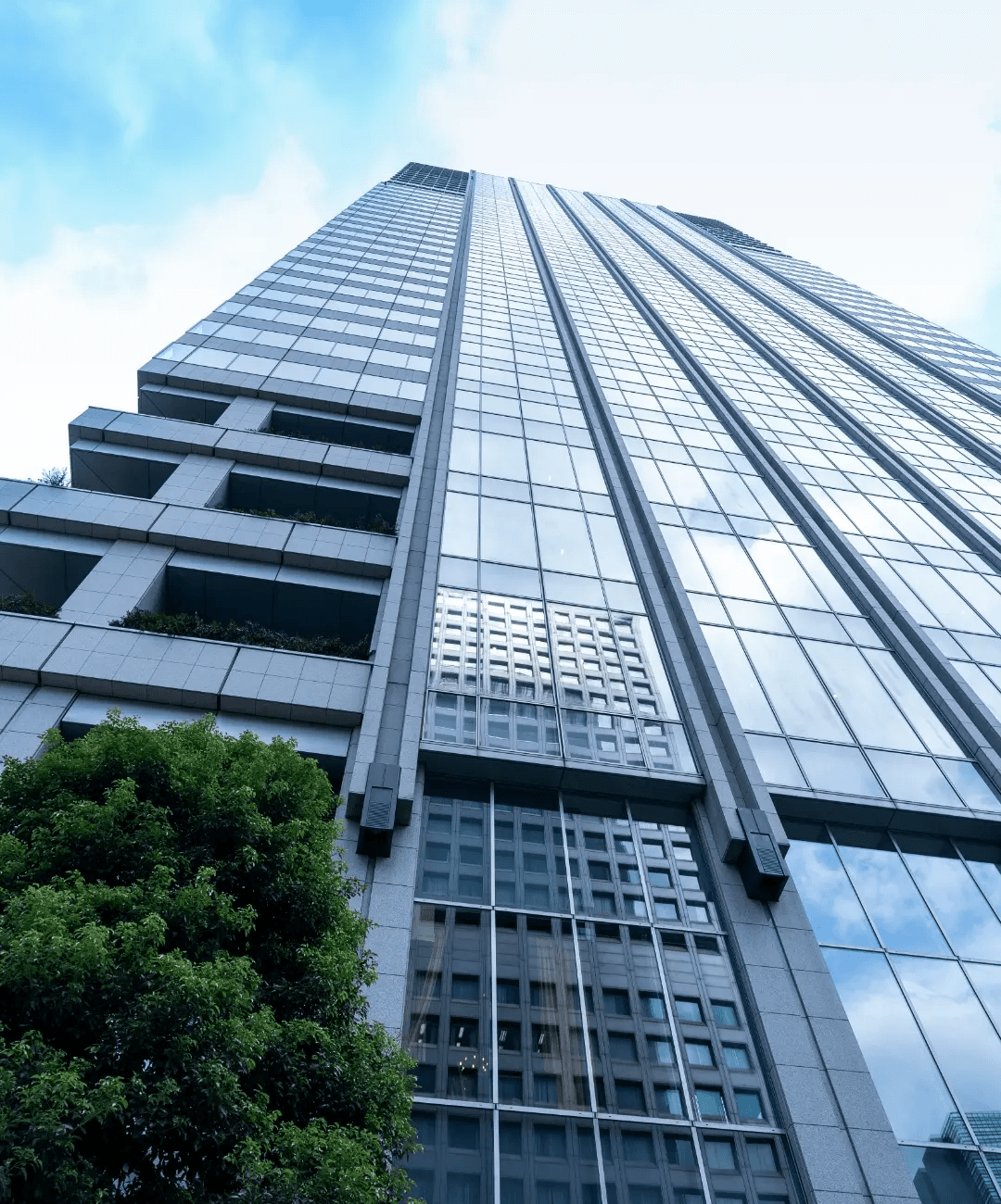 SBI 辻・本郷M&A株式会社の求人画像
